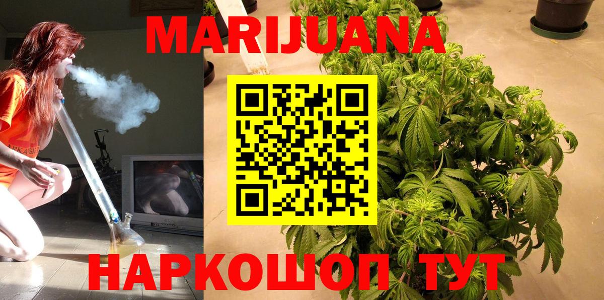 Марихуана конопля Ноябрьск